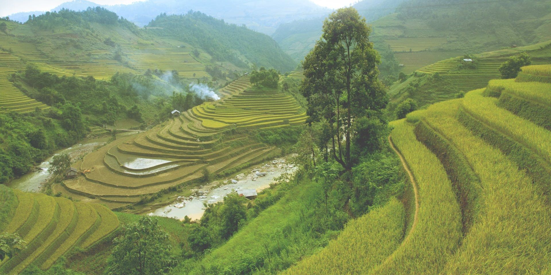 Grüne hügelige Landschaft in Asien