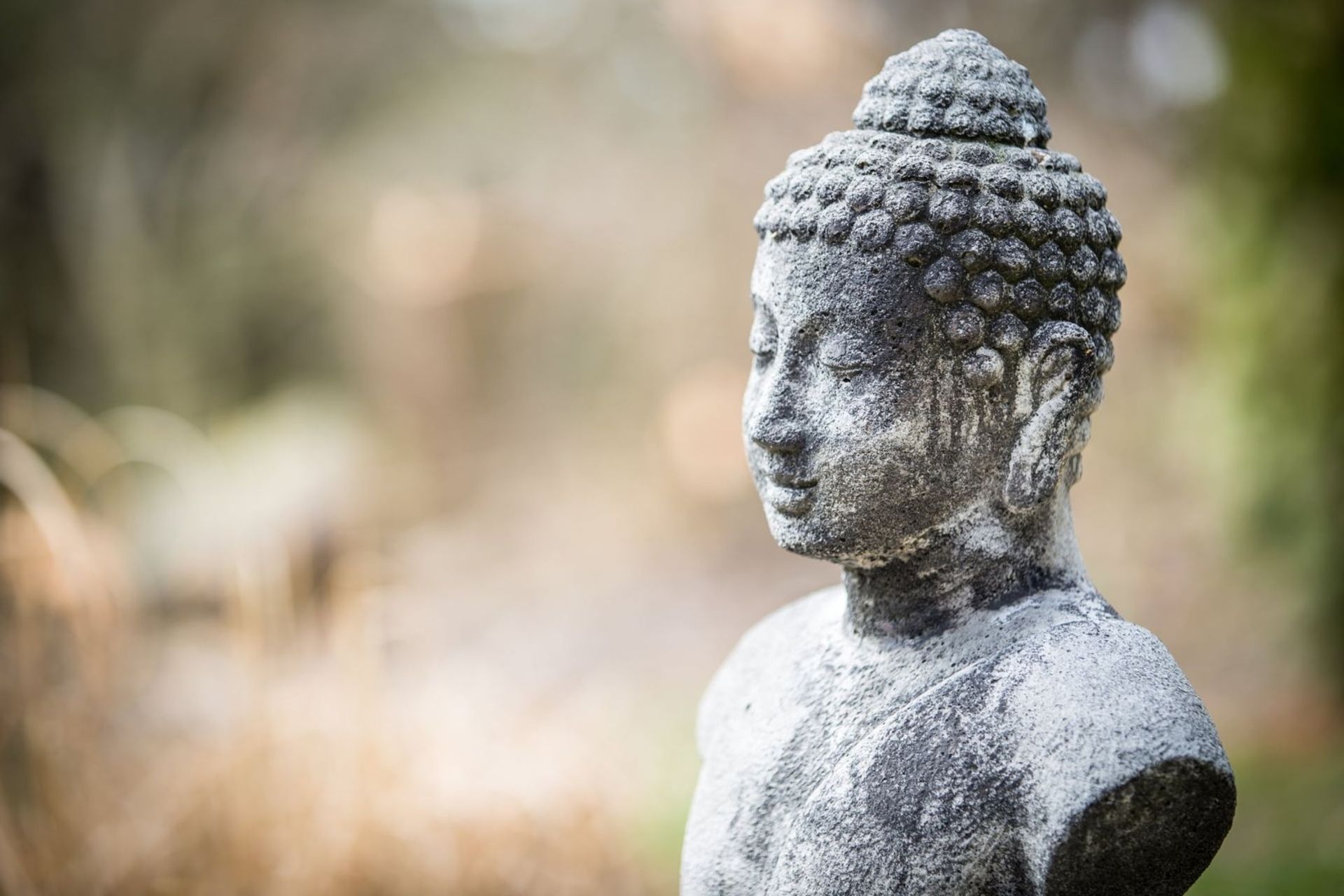 Weiß-graue Buddha-Statue aus Stein